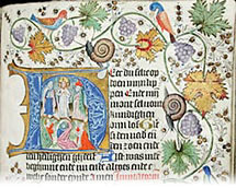 Book of hours_manuscript_medieval